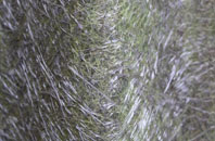 Tregadgwith fibreglass roof work